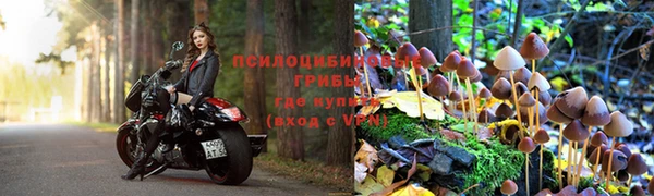 не бодяженный Иннополис