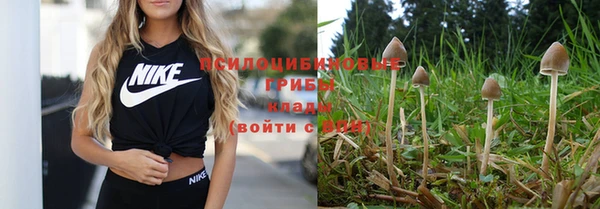 не бодяженный Иннополис