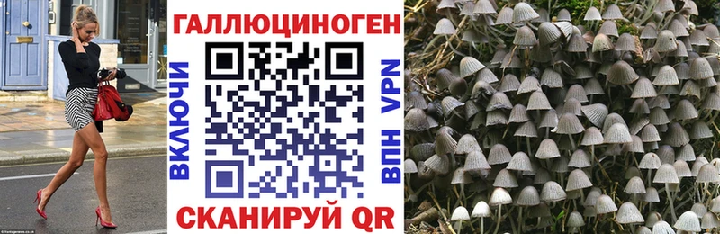 Галлюциногенные грибы Cubensis  Купить где  Сатка 